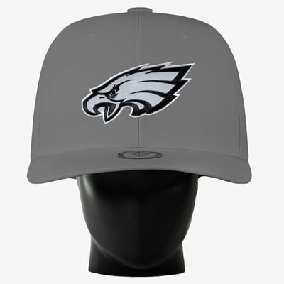 Philadelphia Eagles Noggin Boss Unisex Big Hat - Gray